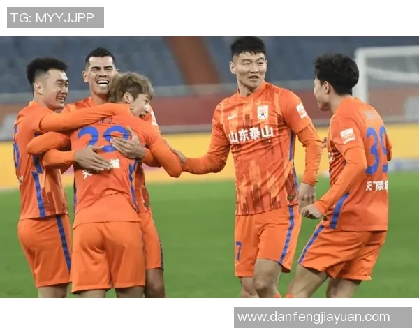 深圳与辽宁精彩对决回放录像全程回顾与分析