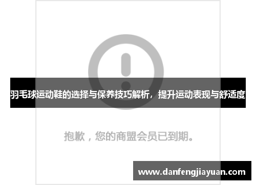 羽毛球运动鞋的选择与保养技巧解析，提升运动表现与舒适度