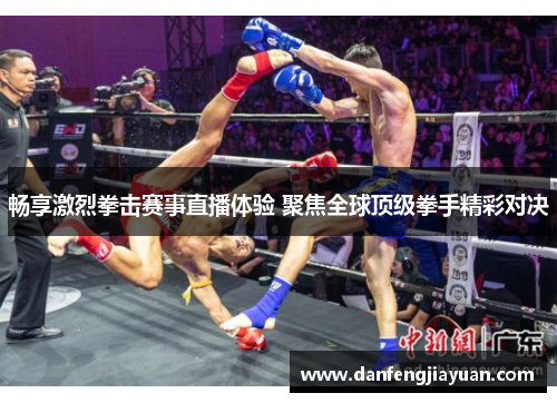 畅享激烈拳击赛事直播体验 聚焦全球顶级拳手精彩对决