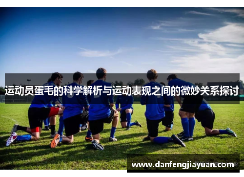 运动员蛋毛的科学解析与运动表现之间的微妙关系探讨
