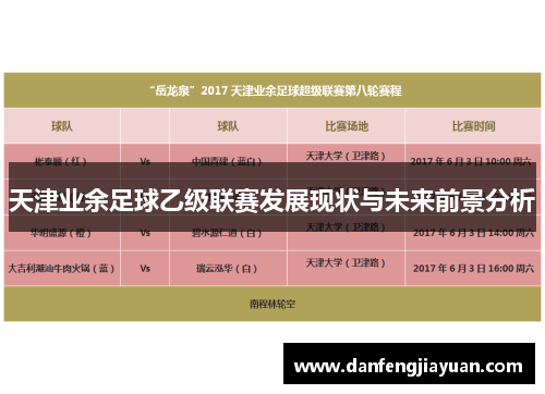 天津业余足球乙级联赛发展现状与未来前景分析