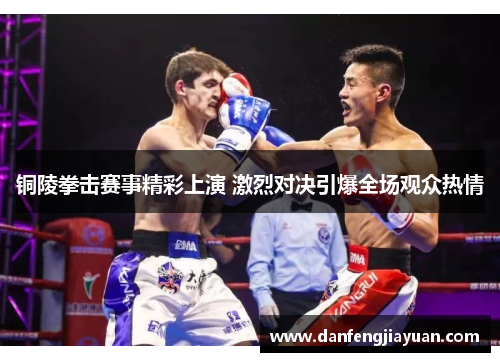 铜陵拳击赛事精彩上演 激烈对决引爆全场观众热情