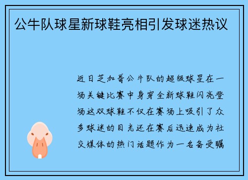 公牛队球星新球鞋亮相引发球迷热议