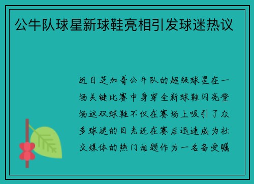 公牛队球星新球鞋亮相引发球迷热议